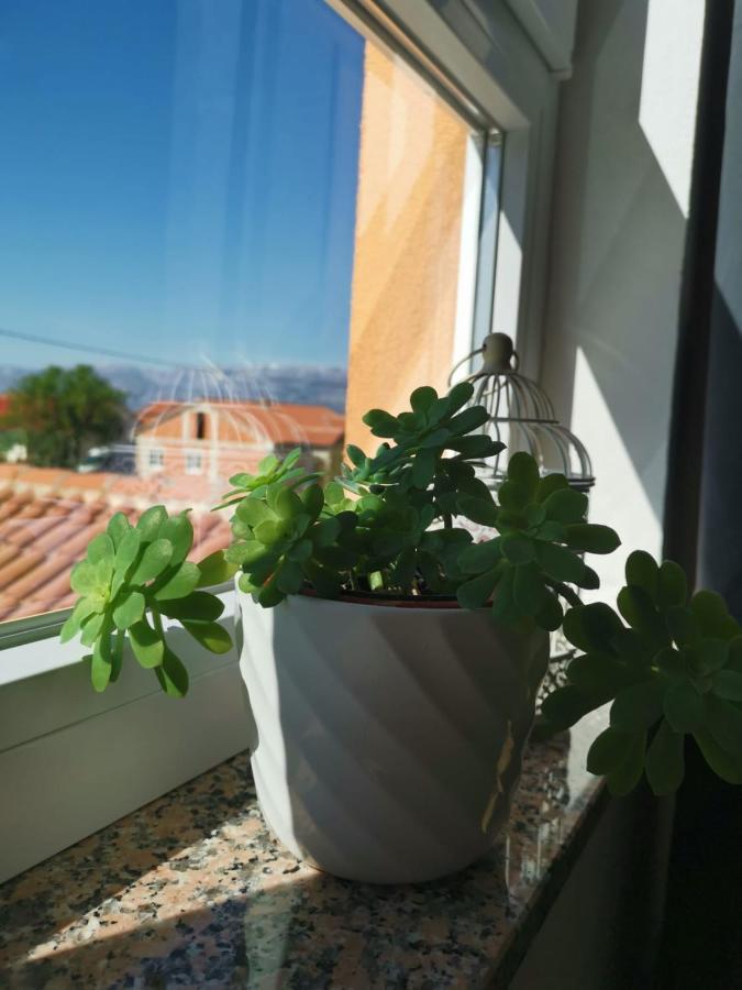 Appartement Nozret à Paljuv Extérieur photo