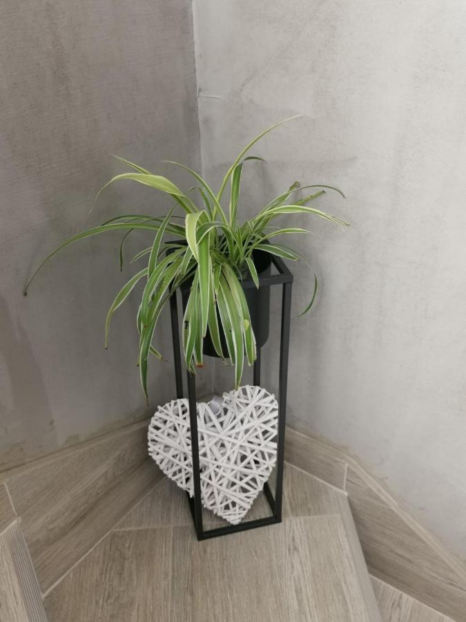 Appartement Nozret à Paljuv Extérieur photo